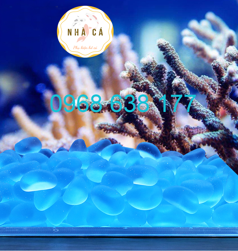 200g ĐÁ XANH PHỦ MỜ LÓT NỀN BỂ CÁ - ĐÁ THẦN KÌ - ĐÁ TRANG TRÍ HỒ CÁ