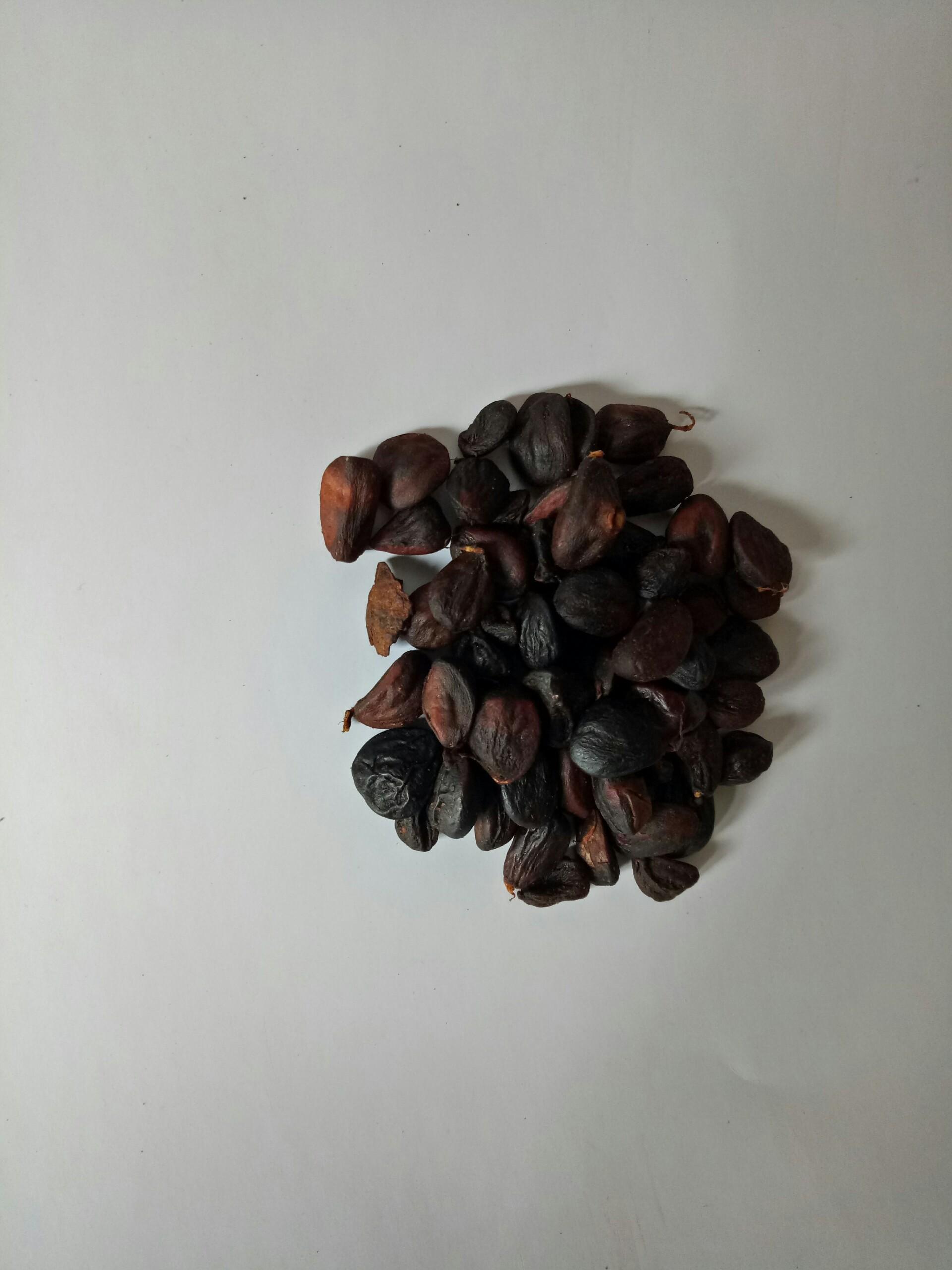 30 hạt dổi nếp tây bắc