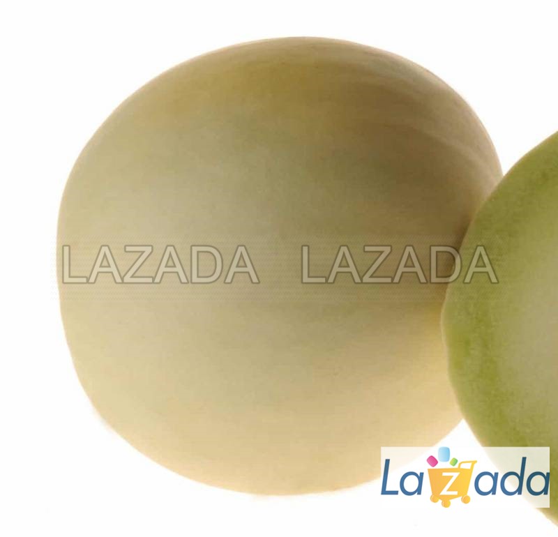 25.hat hạt giống dưa lê siêu ngọt brix15 ship tốt tg20