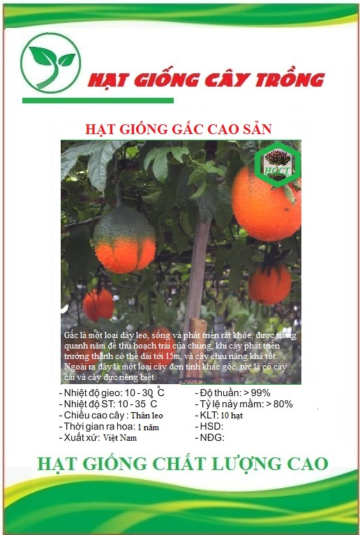 Hạt giống quả gấc cao sản ct71 - gói 10 hạt