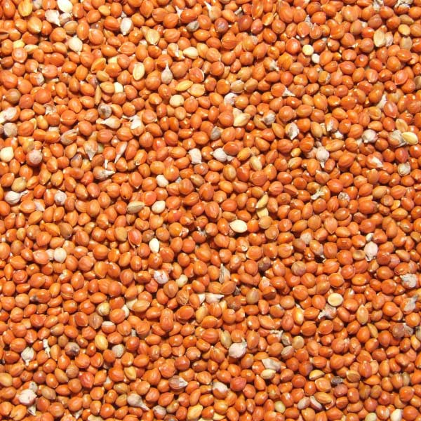 Hạt kê đỏ nhỏ gói 1kg