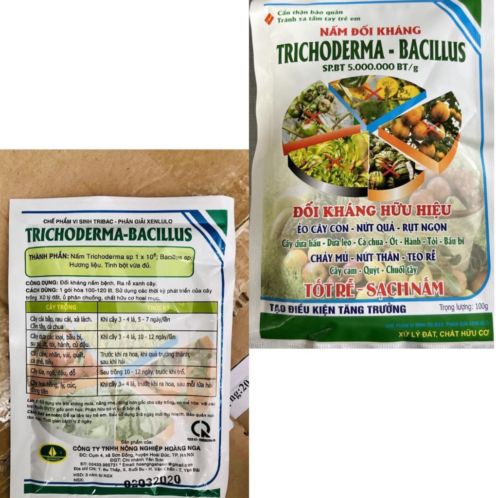 Nấm đối kháng trichoderma-bacillus