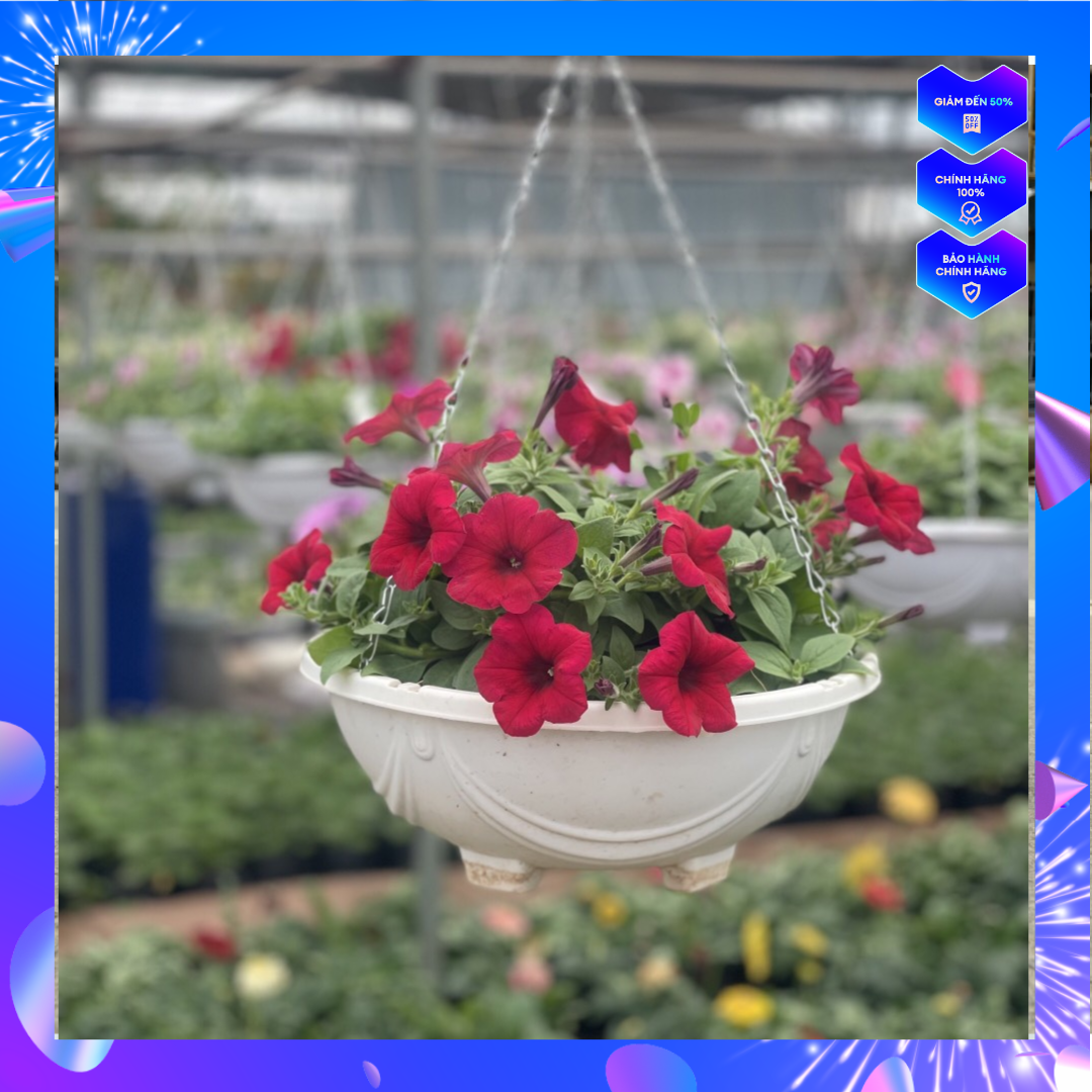 Sét 5 Chậu chảo nhựa treo dây xích trồng hoa,cây cảnh đường kính 29x15cm