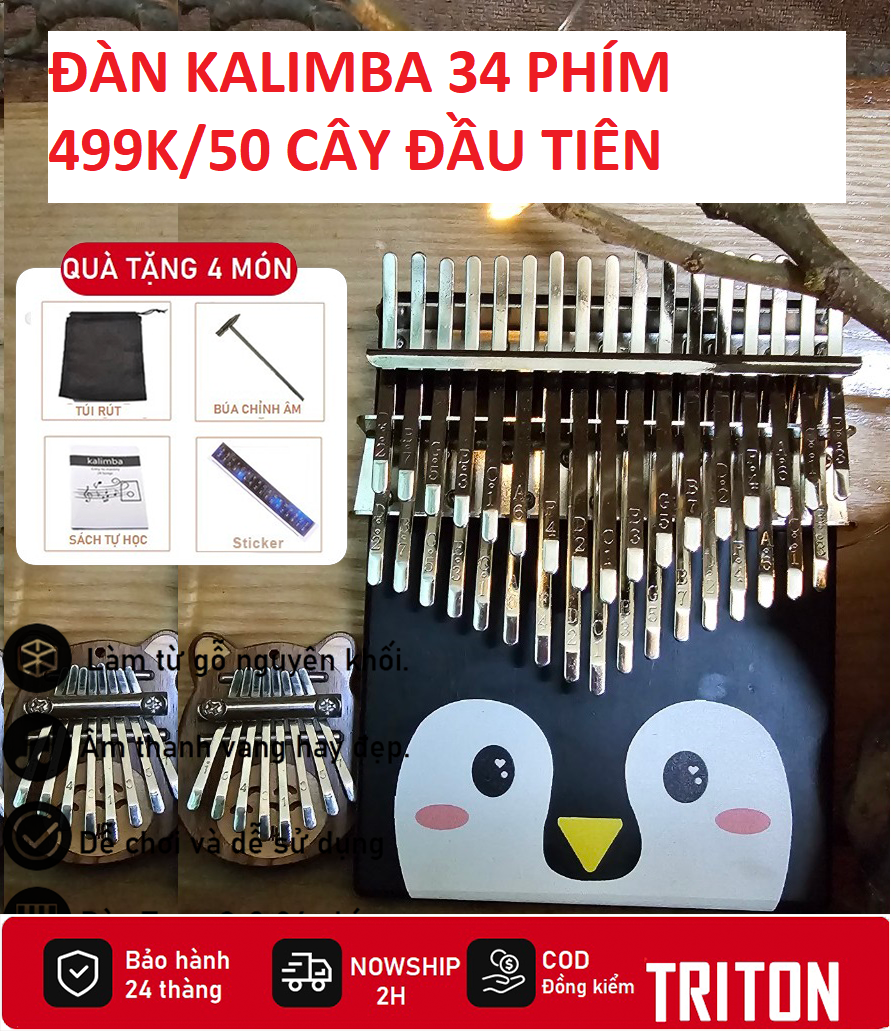 Đàn Kalimba TRITON S41K -34 Phím Chuyên Nghiệp SEEDS HẠT GIỐNG KALIMBA- Thump Piano Acoustic Finger Chromaric - 2