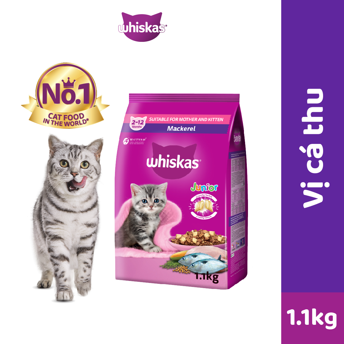 Thức Ăn Hạt Cho Mèo Con WHISKAS 1.1kg