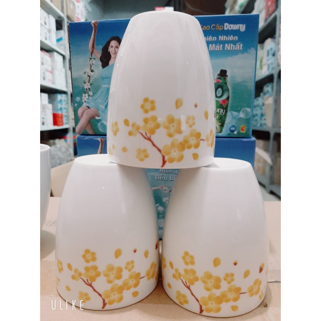 Bộ cốc sứ hoa mai Dong HWa