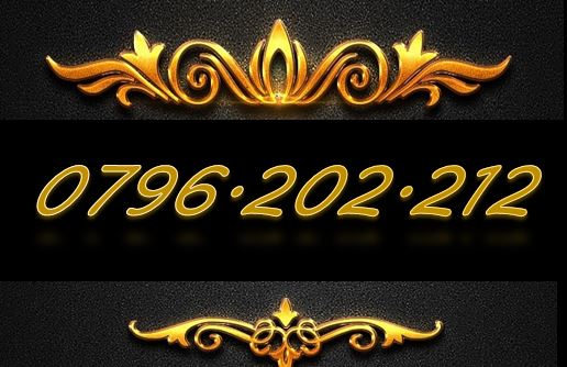 Sim gánh tiến 1 nút 0796.202.212