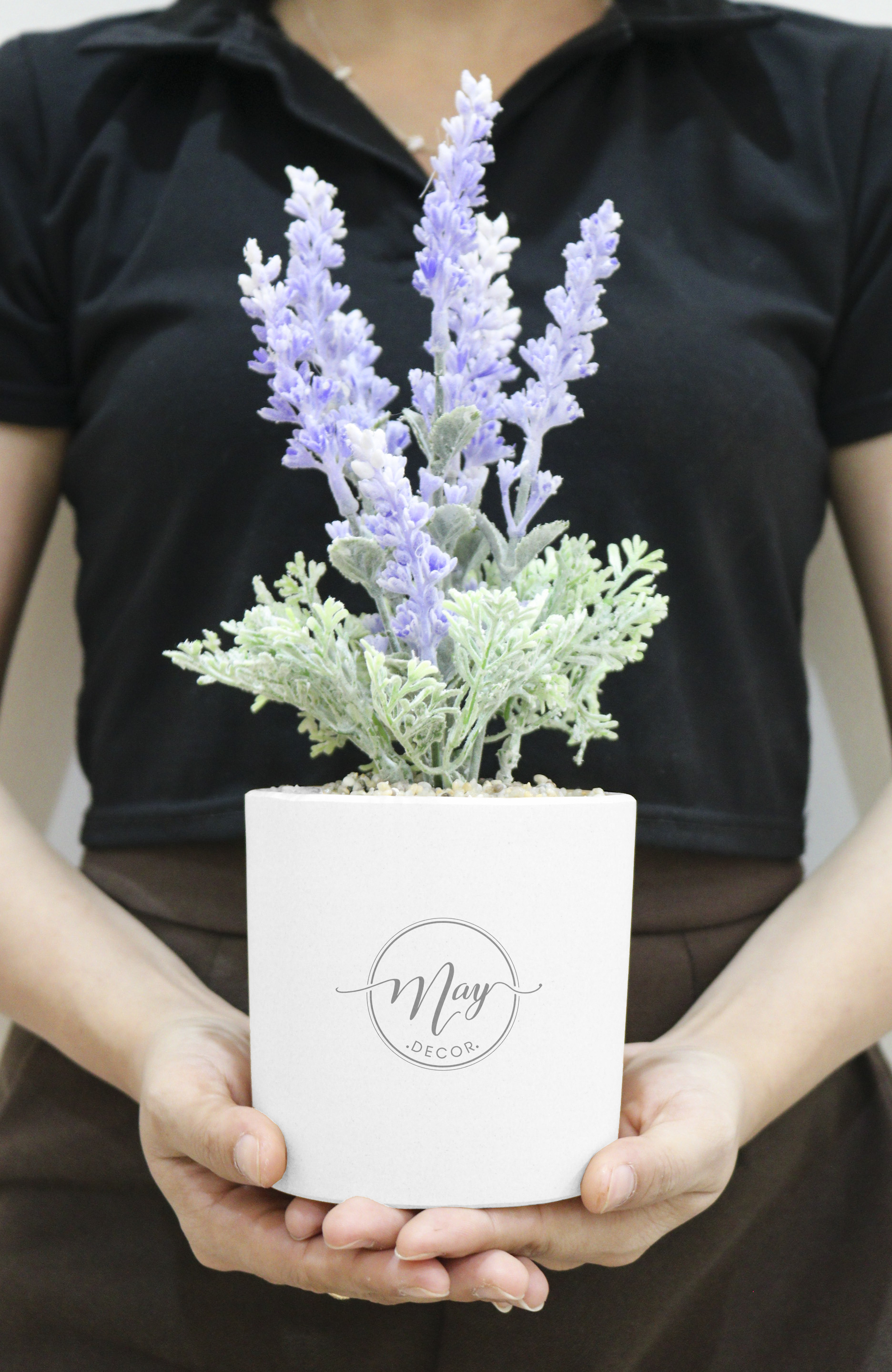 Chậu lavender phấn cao 25cm