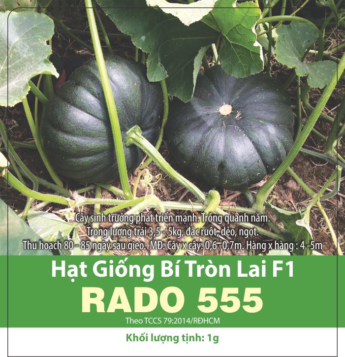 Hạt Giống Bí Tròn Lai F1 Dễ Trồng, Thơm Ngon (1gr)