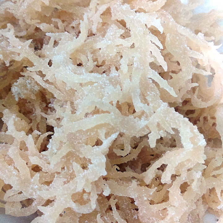 Rong sụn gai Nha Trang 1 ký - Loại 1+ (100% tự nhiên)