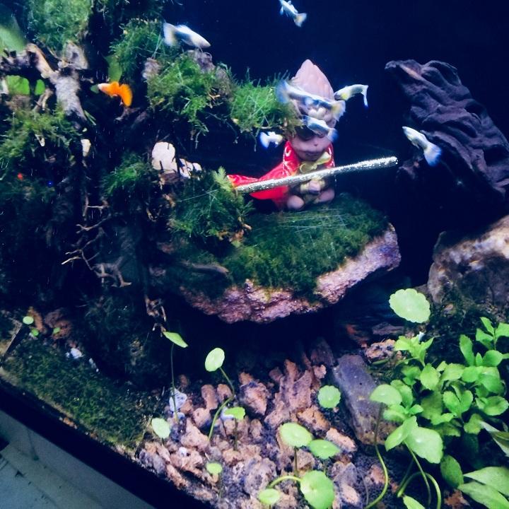 Tượng Mỹ Hầu Vương - Tượng Tôn Ngộ không trang trí trong nhà