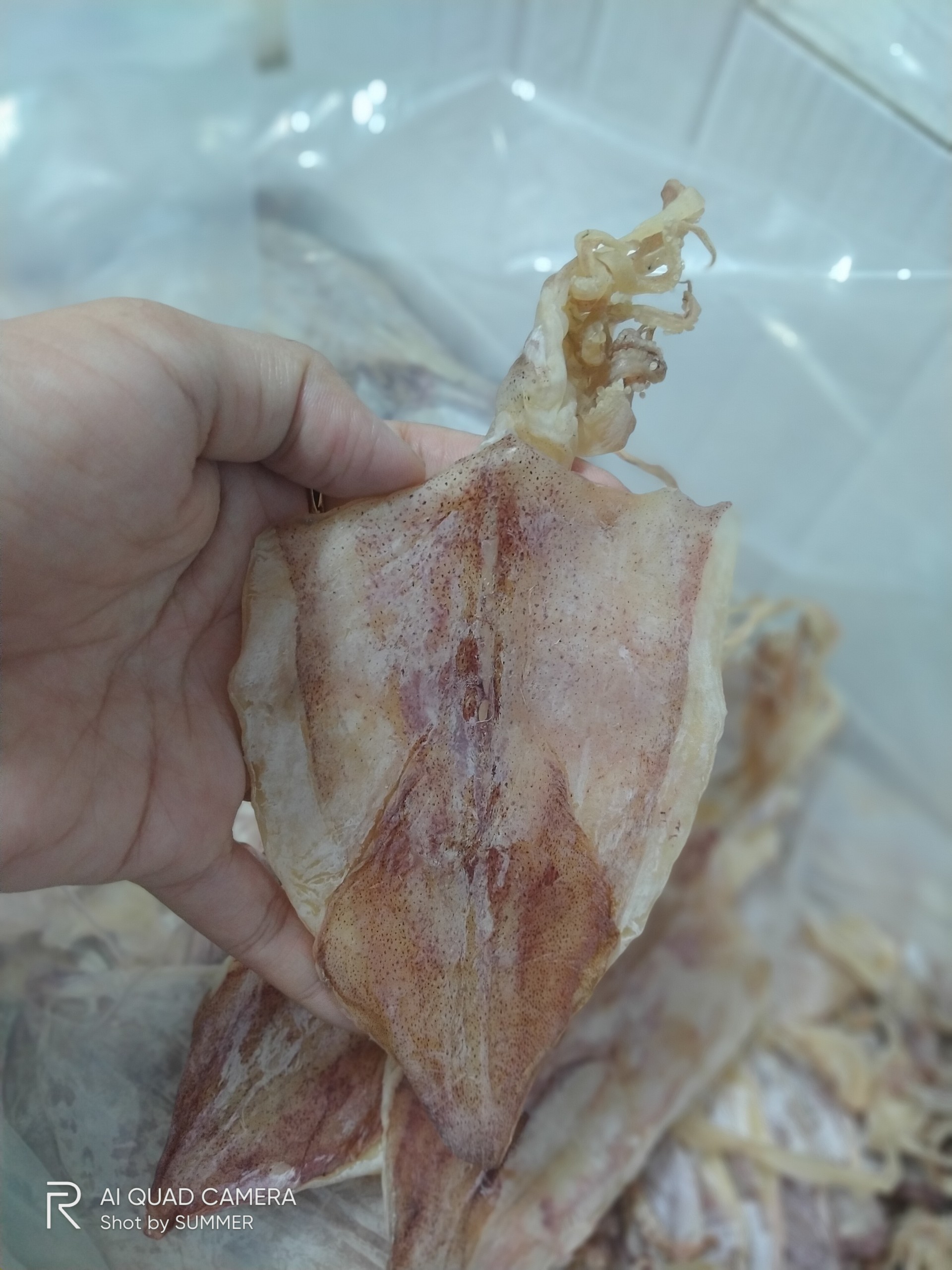 Siêu rẻ 2k / con mực khô mini siêu ngọt siêu rẻ