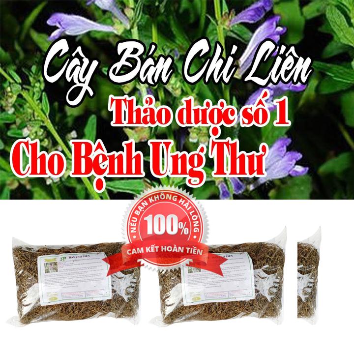 1kg cây bán chi liên phơi khô - cao cấp