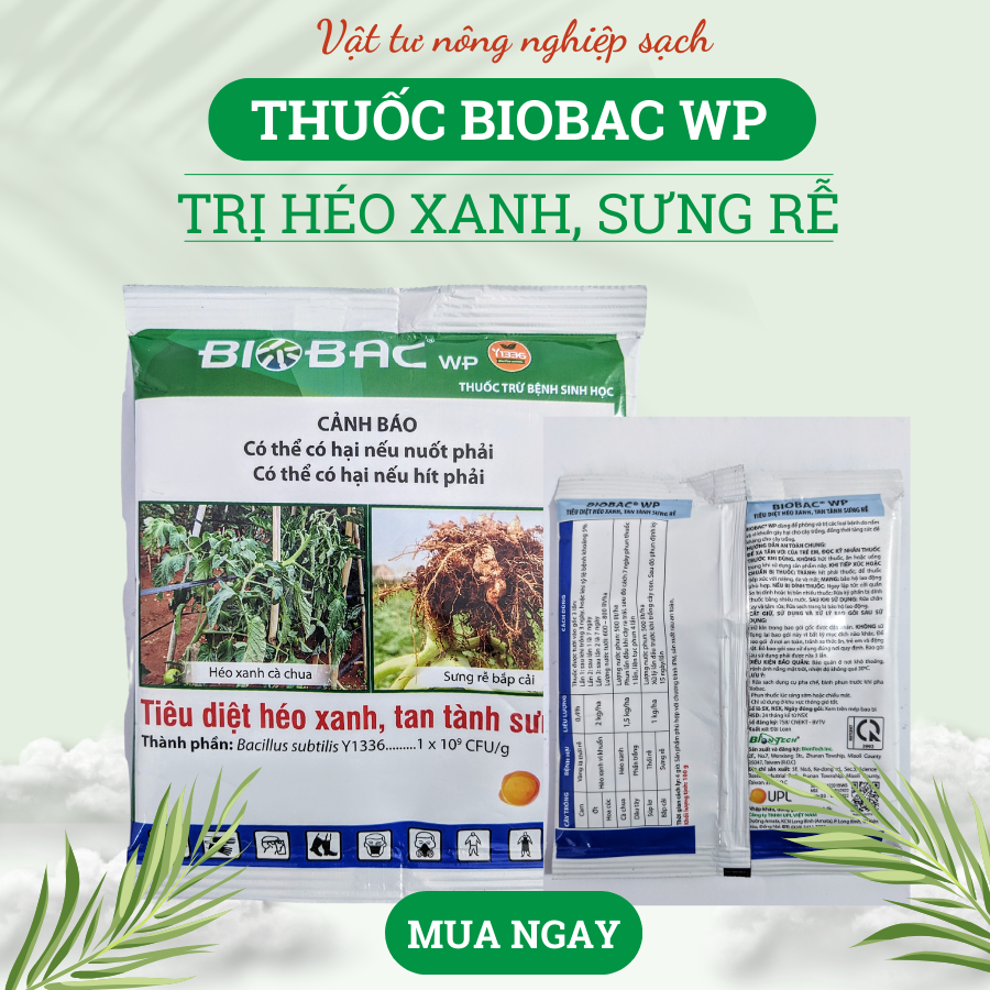 Thuốc Biobac Wp trị héo xanh, sưng rễ