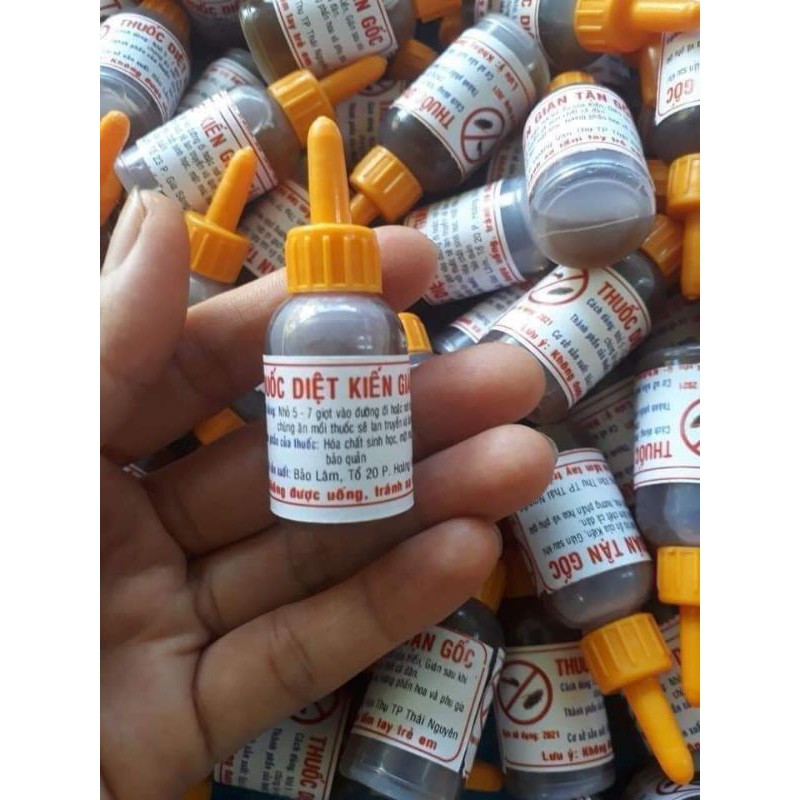 Chai diệt kiến thần thánh..
