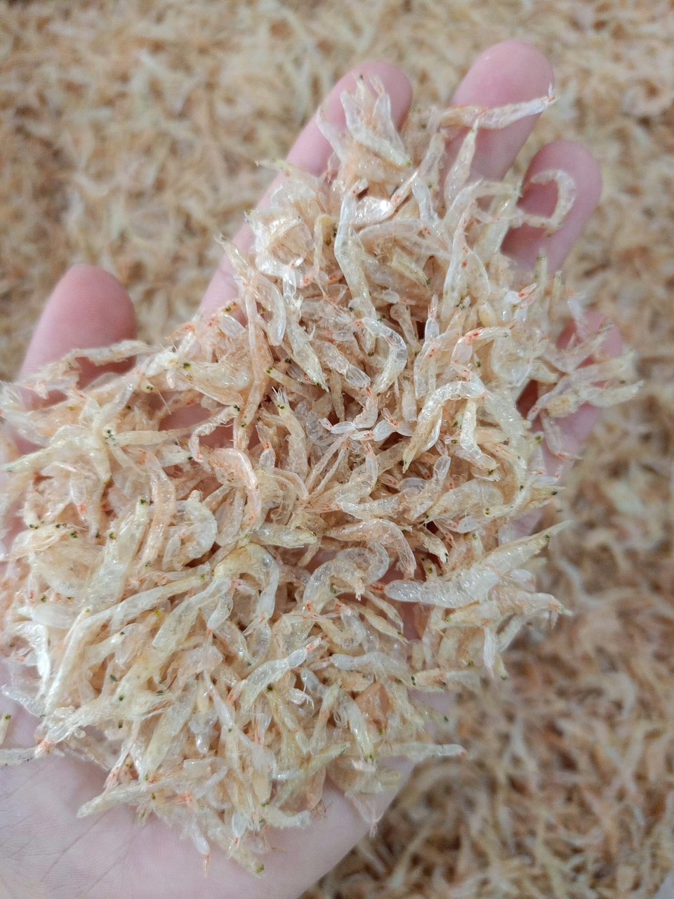 Tép Khô - tép khô loại ngon được phơi khô sạch sẽ .
