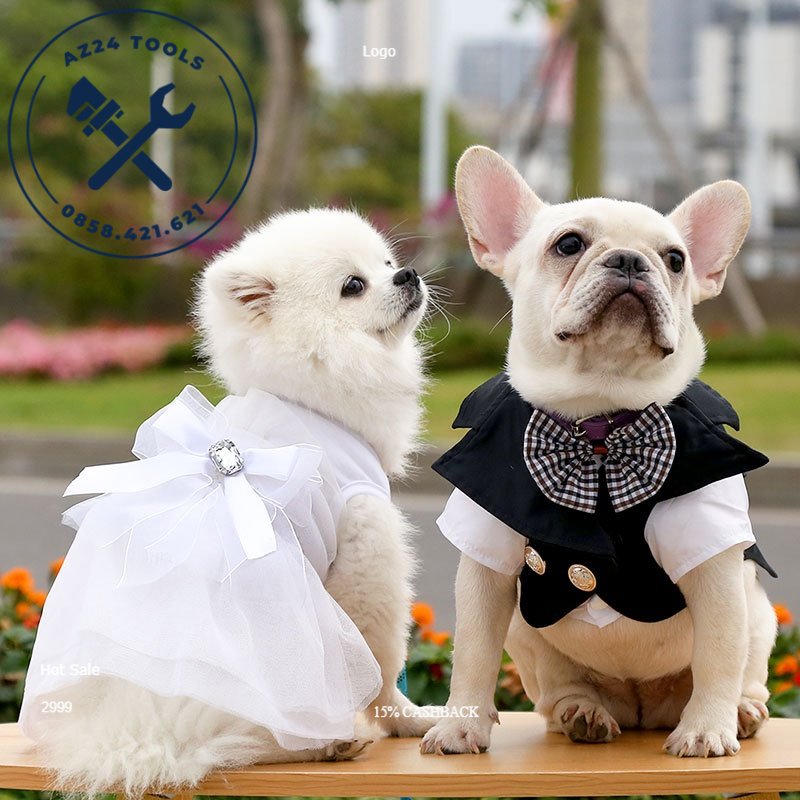 Áo vest và váy đám cưới dành cho chó mèo