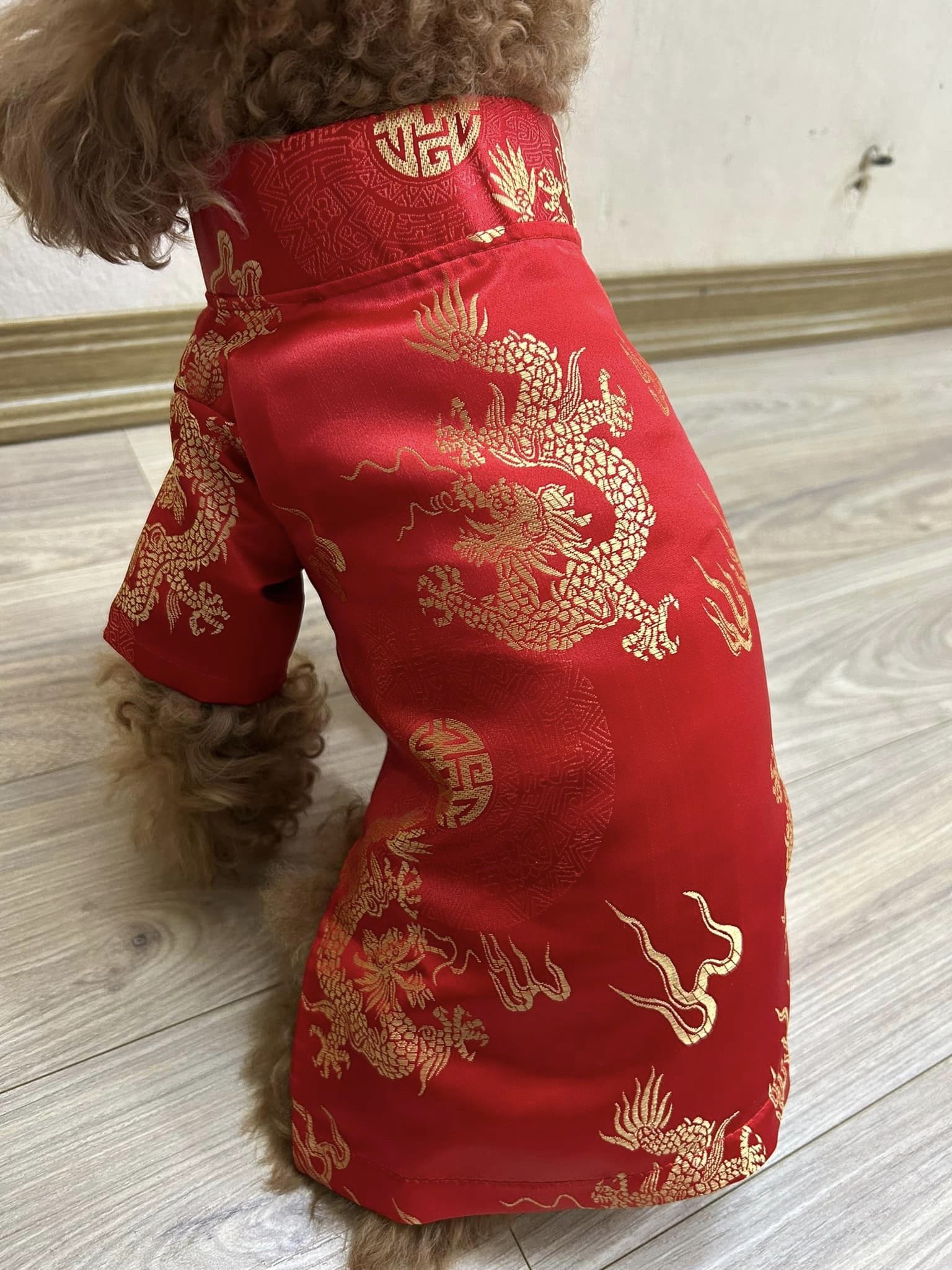 Áo gấm, áo dài, áo tết siêu cute cho chó mèo