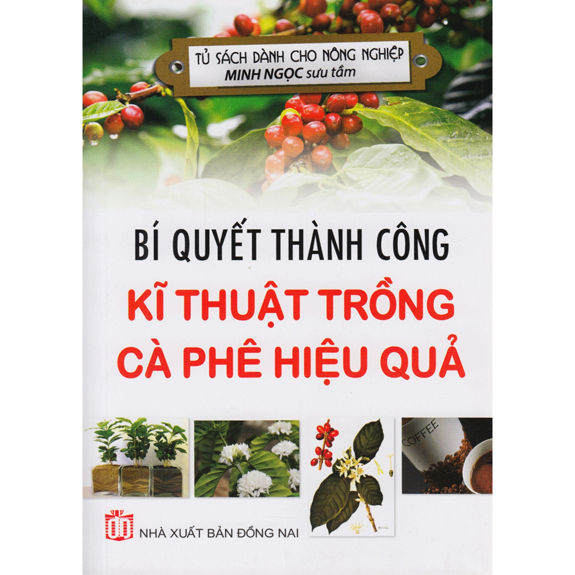 Bí quyết thành công kĩ thuật trồng cà phê hiệu quả