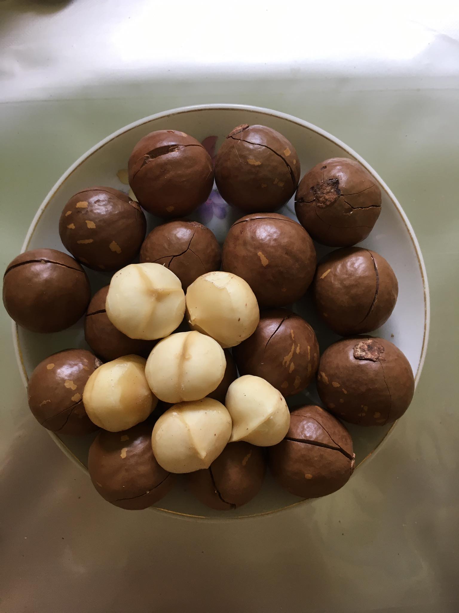 HẠT MẮC CA SẤY LOẠI 2 - MẮC CA ĐĂK LĂK - thực phẩm tốt cho sức khoẻ