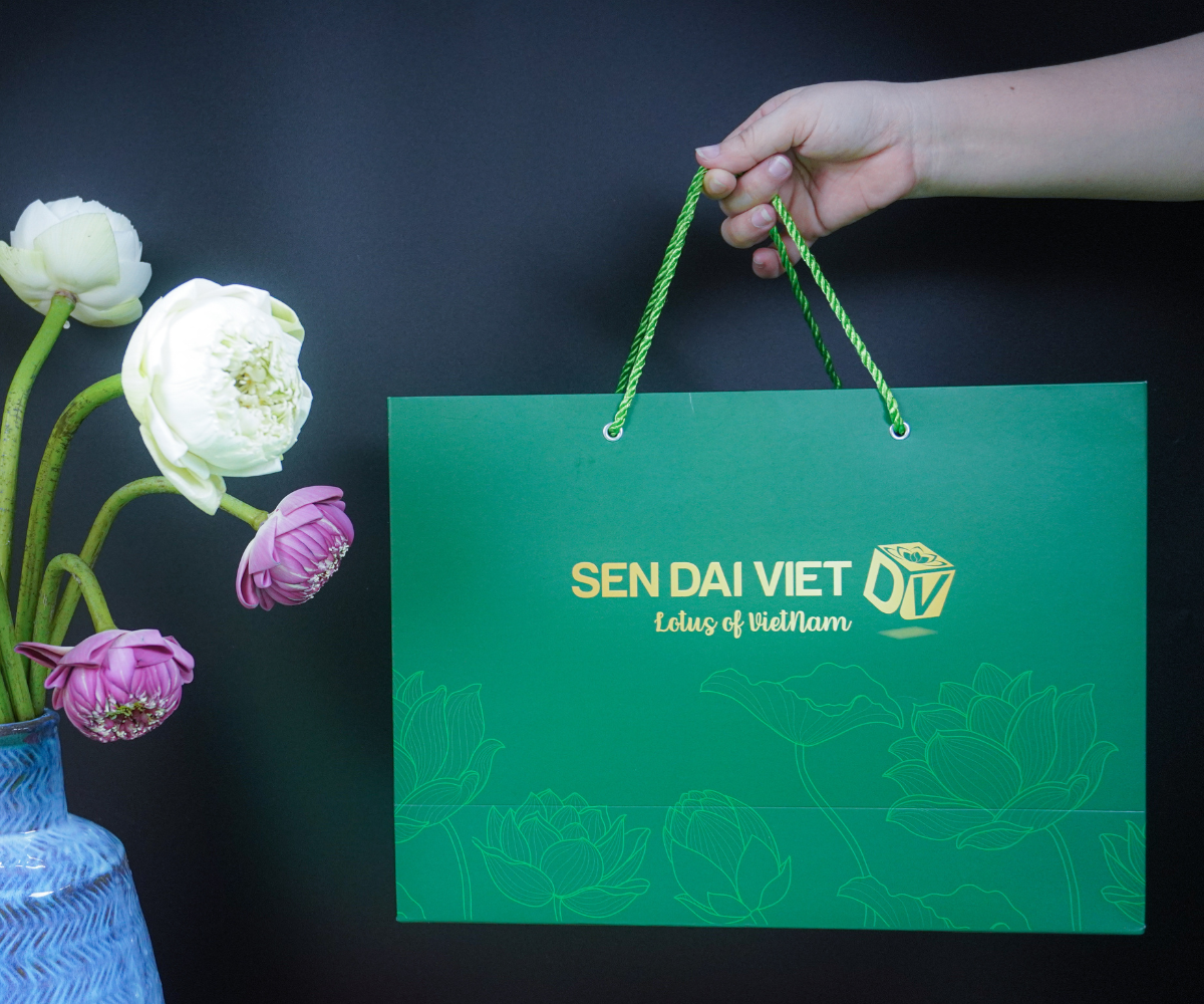 Túi giấy thương hiệu sen đại việt, đv, túi giấy cao cấp, thân hiện môi trường