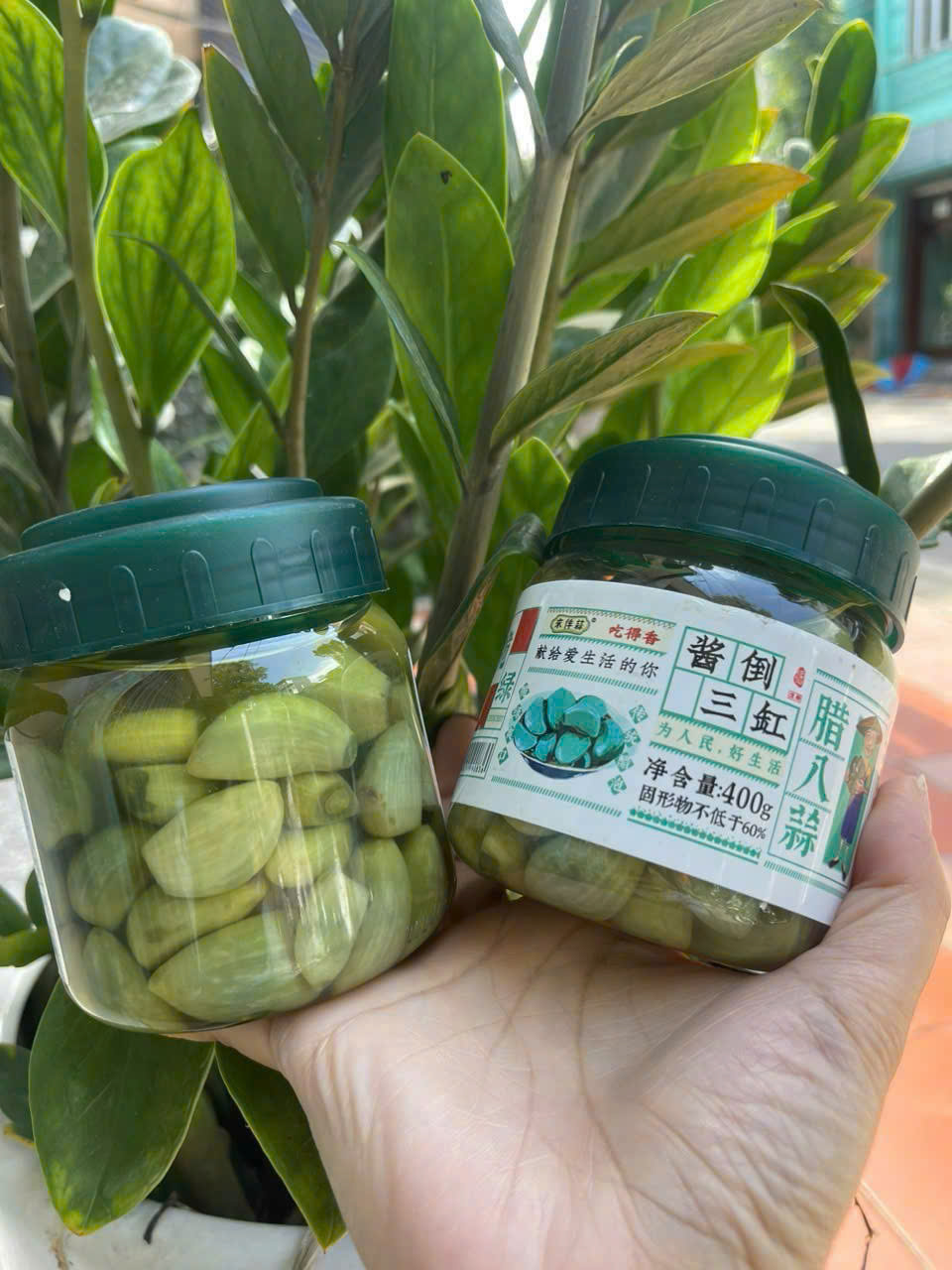Tỏi Xanh ngọc bích ngâm giấm chua ngọt - hủ 400gr