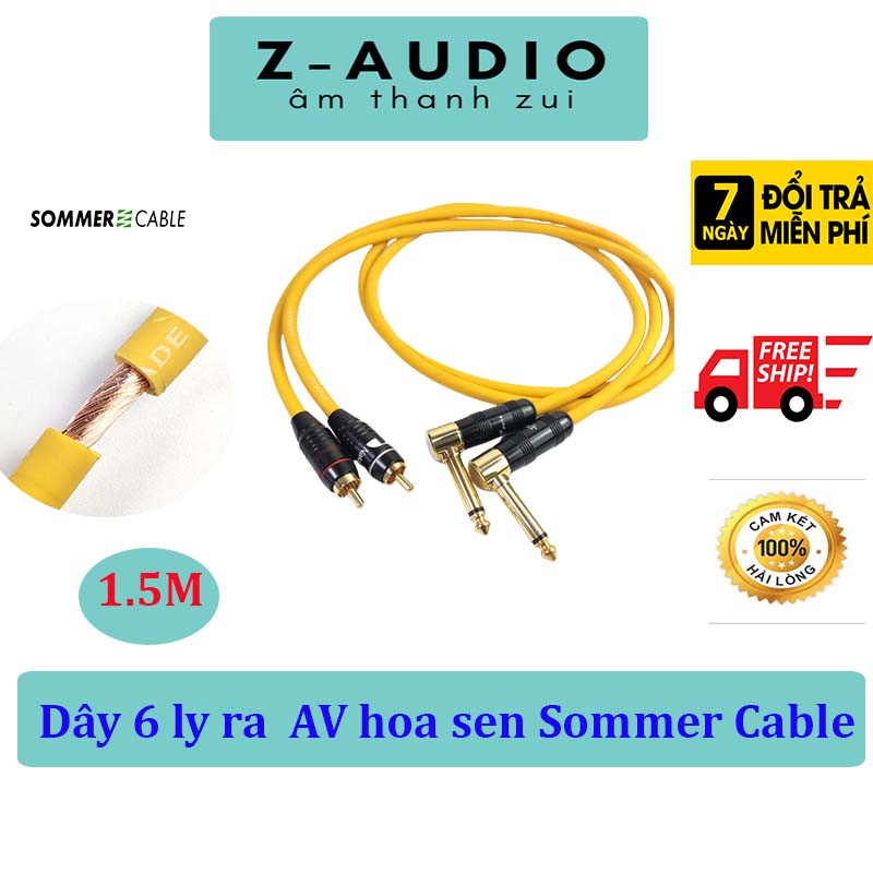 Dây 6 ly ra AV hoa sen Sommer Cable 2M, 1 đầu jack 6 ly cong hiệu Palic với Jack AV Nakamichi Nhật cao cấp - Zaudio Store
