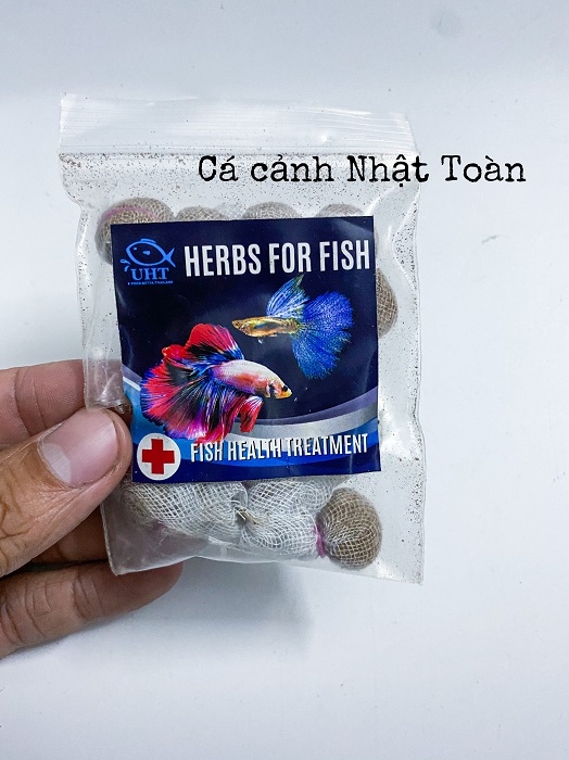 "hoàn tiền đến 10%" bắc thái phòng bệnh cho cá cảnh 1 viên