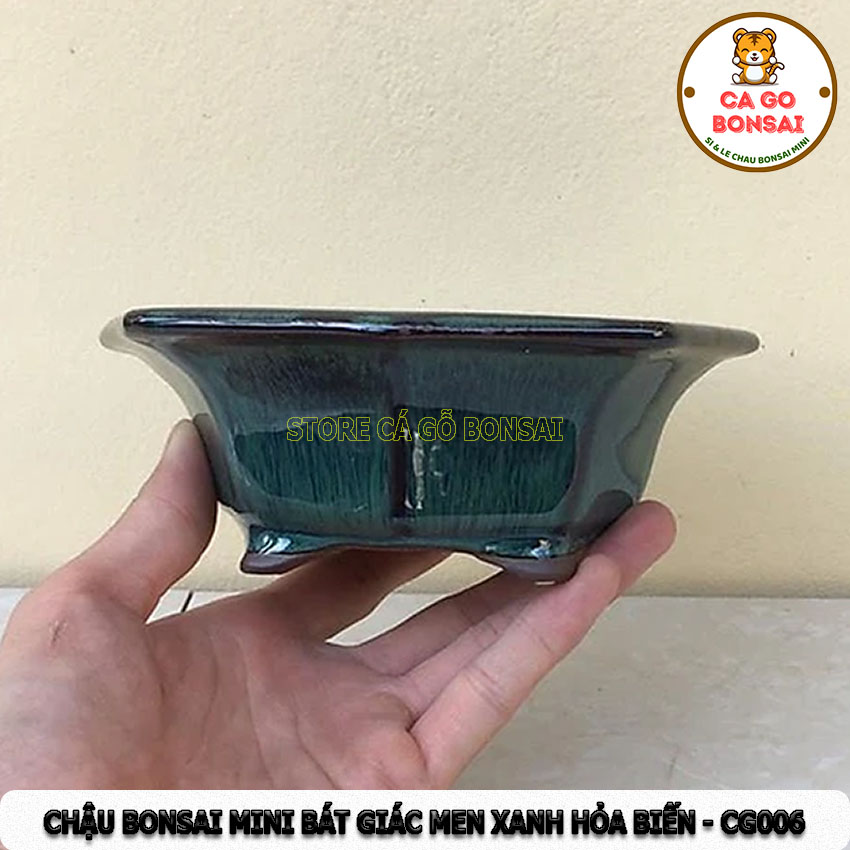 Chậu bonsai mini bát giác men xanh hỏa biến - cg006