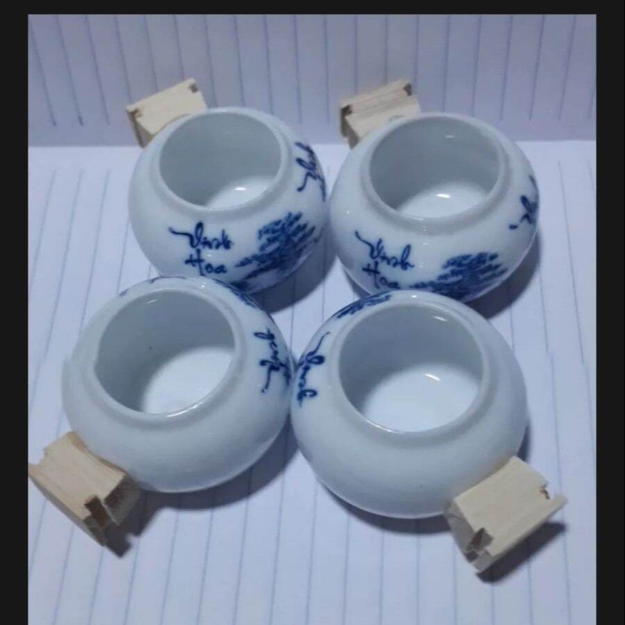 Combo 5 bộ cóng yến, tiểu mi, chòe đất