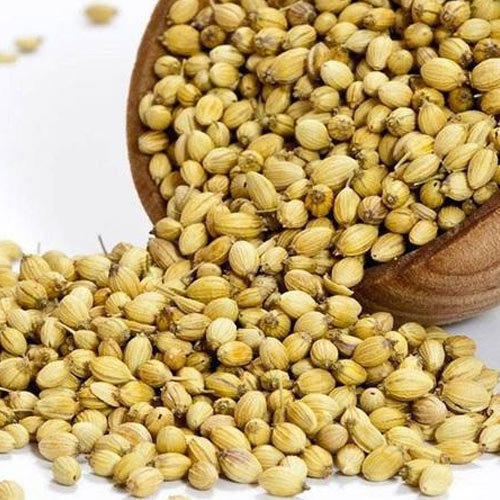 Coriander Seeds - Hạt rau Mùi Dhaniye k beej