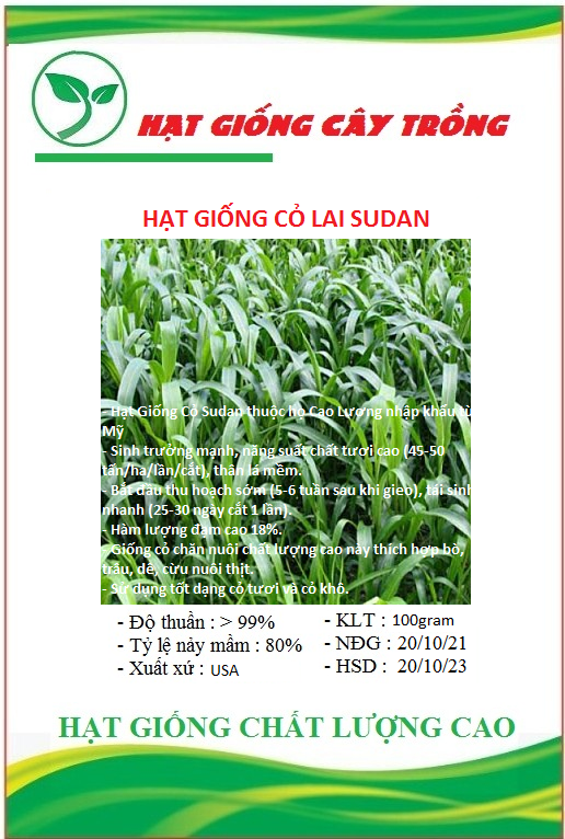Hạt giống cỏ sudan lai – dòng cỏ ngô ct236 - gói 100gram