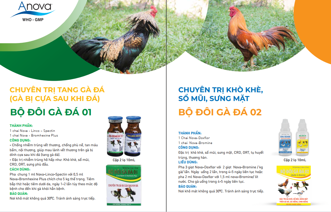 COMBO 2 CẶP: TANG GÀ ĐÁ (GÀ BỊ CỰA SAU KHI ĐÁ) + KHÒ KHÈ, SỔ MŨI, SƯNG MẶT