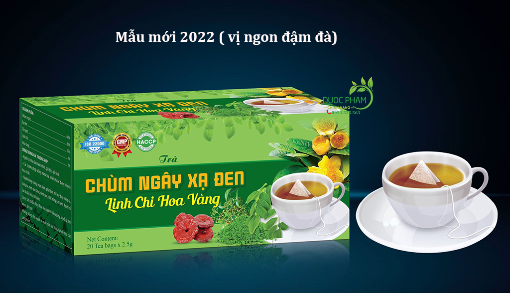 Combo 10 hộp trà linh chi chùm ngây xạ đen ( sỷ)
