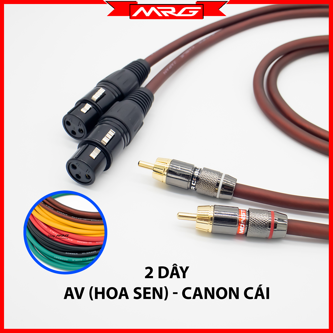 Cặp Dây Canon Cái Ra AV Hoa Sen, dài 1met-2met-3met-5met-8met-10met (XLR-female To RCA) DJ7 | dây jack canon ra av hoa sen, dây av canon, dây hoa sen canon, dây kết nối âm thanh, dây kết nối mixer, dây kết nối vang số.