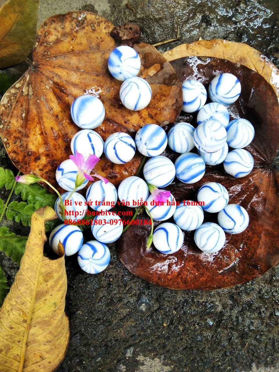 Bi ve - bộ viên bi sứ trắng vân xanh biển dưa hấu đường kính 1.6 cm bộ 10 viên