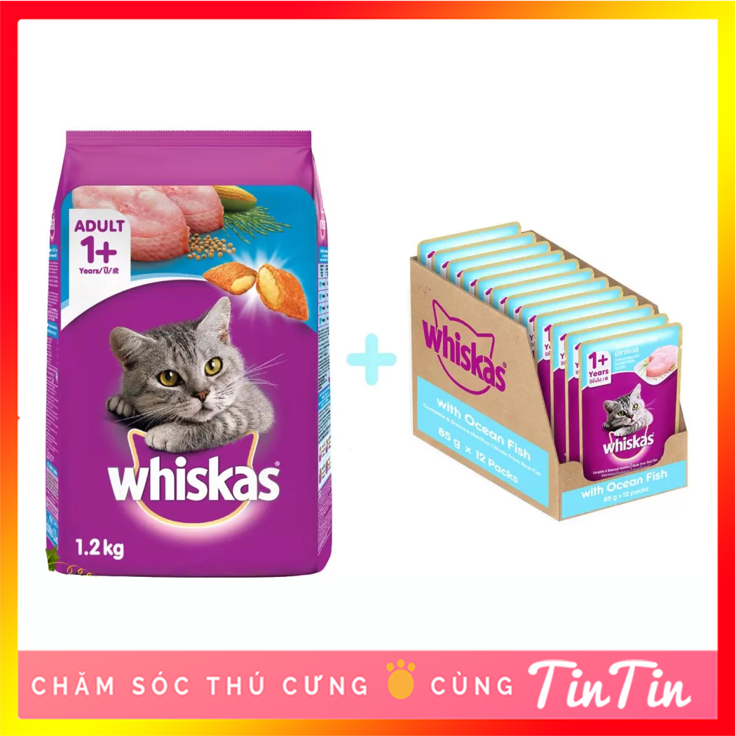 Combo 01 thức ăn hạt khô whiskas 1,2 kg và 12 gói pate whiskas 85 gram cho mèo