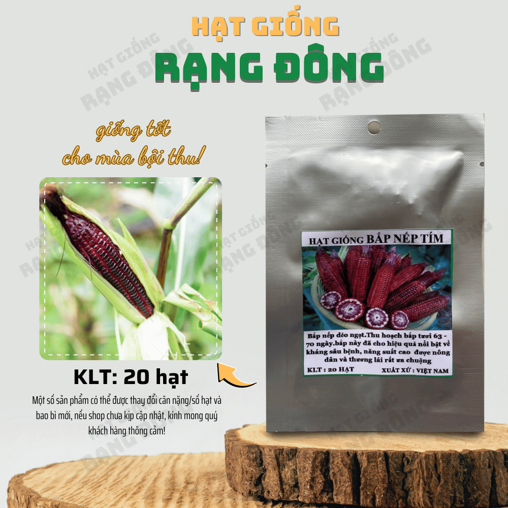 Hạt giống Bắp Nếp Tím (20 hạt) dễ chăm sóc, năng suất cao, trồng quanh năm - Hạt giống Rạng Đông