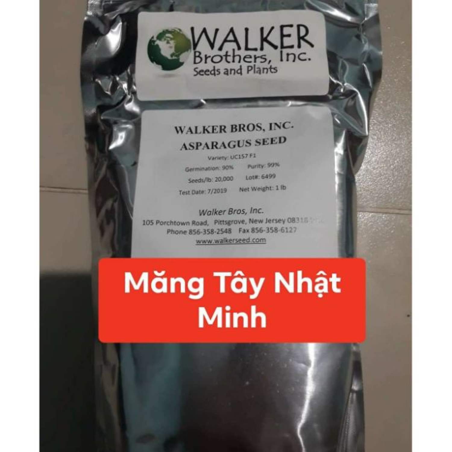 100 hạt giống măng tây xanh f1 uc 157