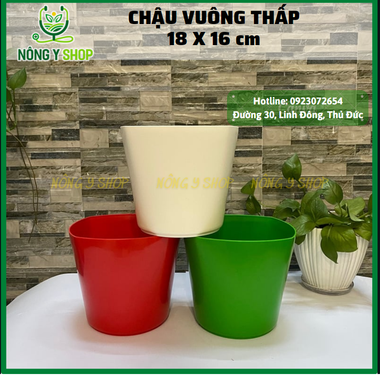 Size 18-16cm, chậu nhựa vuông thấp, chậu vuông thấp , chậu nhựa dày, bóng, chậu hoa, cây kiểng, chậu nhiều màu sắc