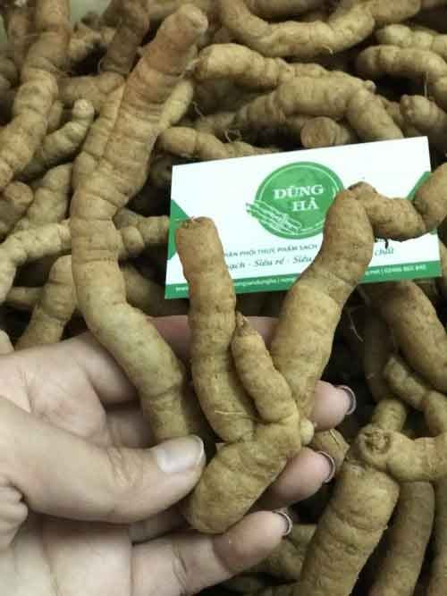 Ba Kích Tím chuẩn rừng rút ruột - Thơm Ngon - Bổ Dưỡng