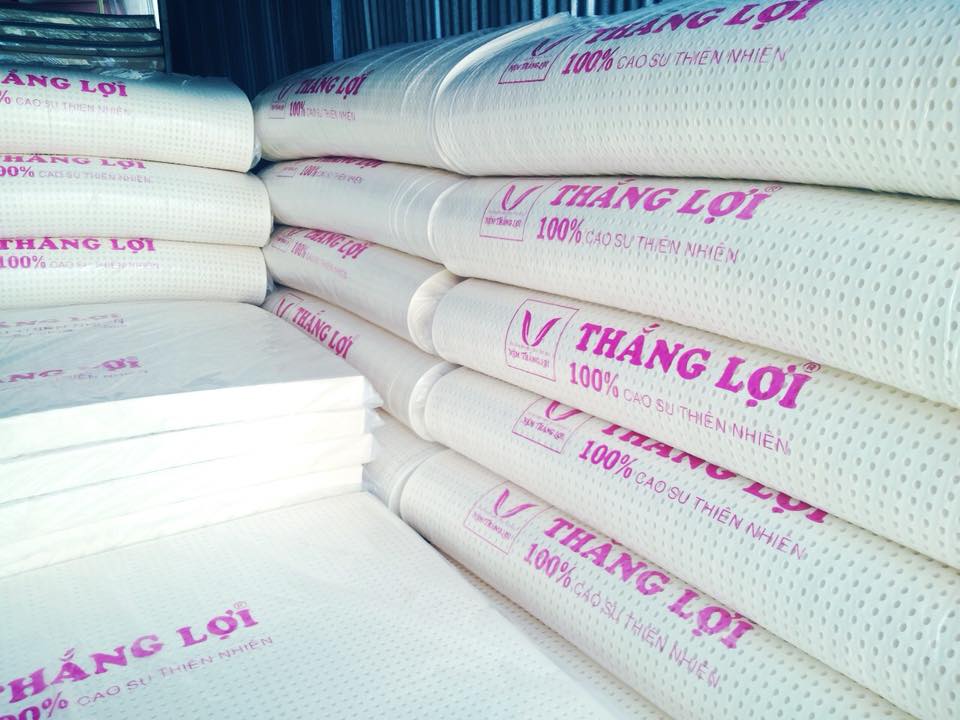 Nệm size 1m8 x 2m x 10cm cao su 100% thiên nhiên thắng lợi kèm quà tặng 2 gối cao su thiên nhiên + 1 ga bọc nệm cùng size