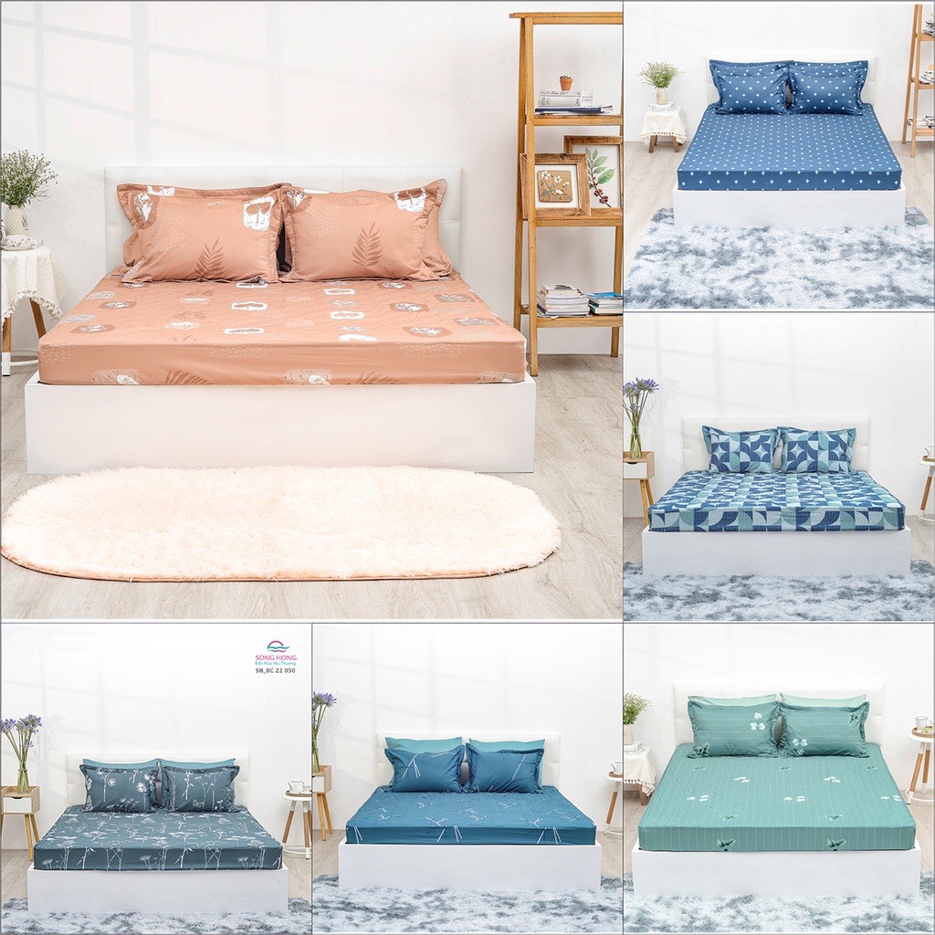 Bộ ga chun 120 x190 cotton sông hồng