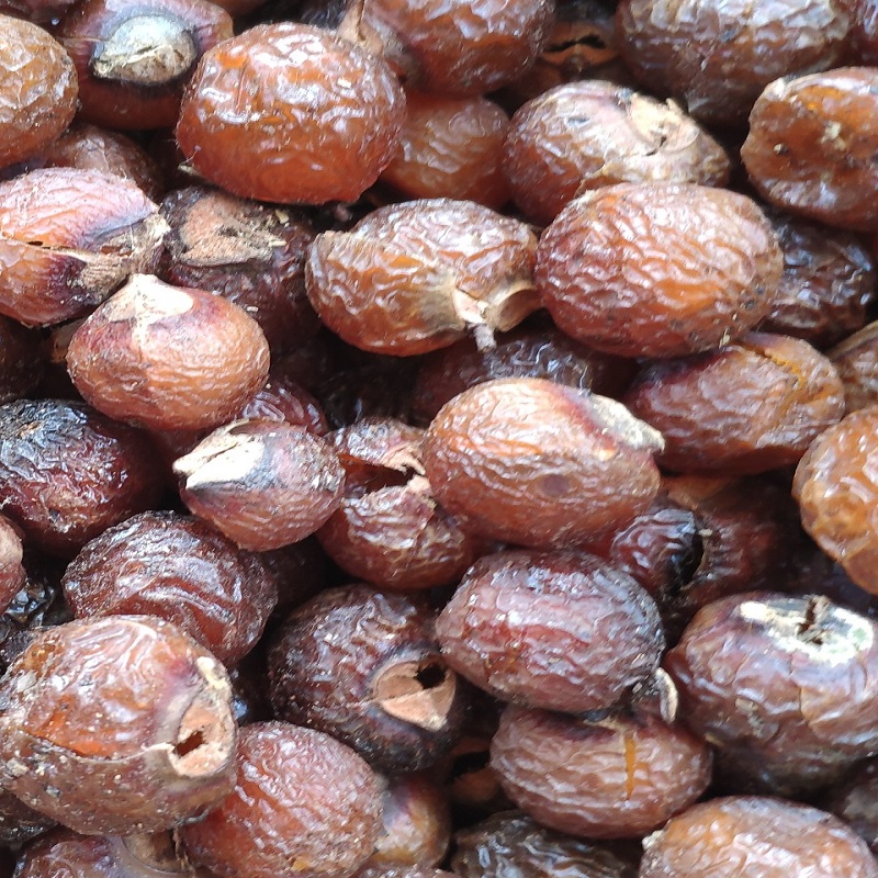 bồ hòn tách hạt hàng loại 1 tây nguyên