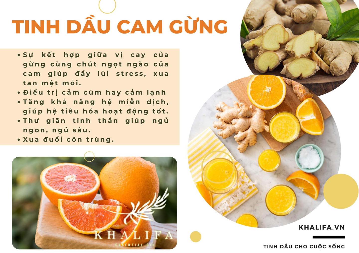 Tinh dầu cam gừng 10ml