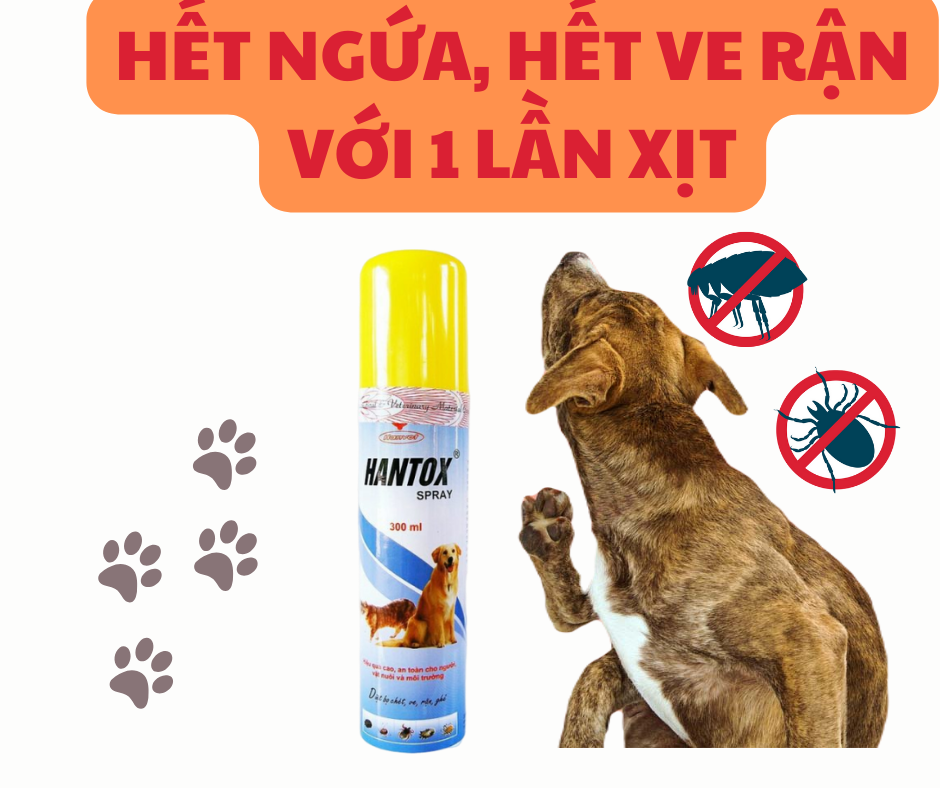 Hantox spray chai xịt ve rận cho chó