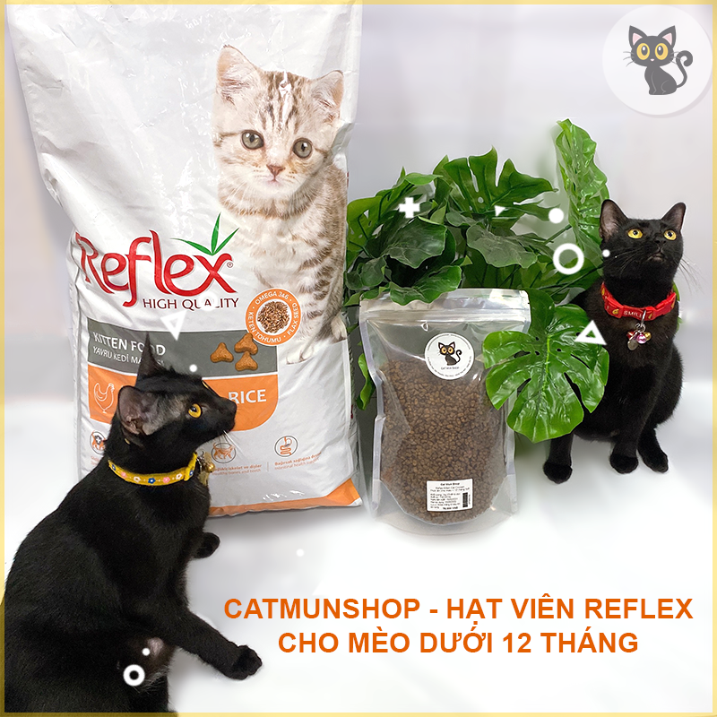 Hạt viên Reflex Kitten vị Chicken dùng cho mèo dưới 12 tháng tuổi 1kg, thương hiệu Thổ Nhĩ Kỳ, Shop Cat Mun