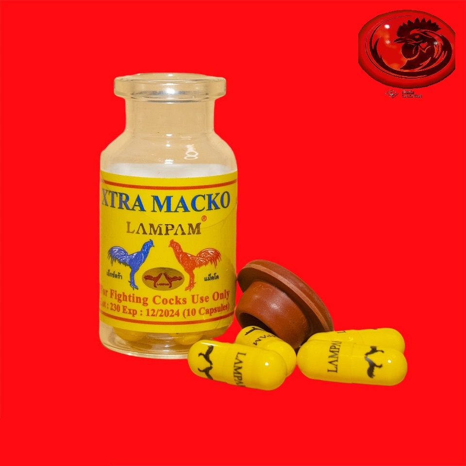Xtra macko - nhộng vàng chiếc lẽ 2 viên dành cho gà đá