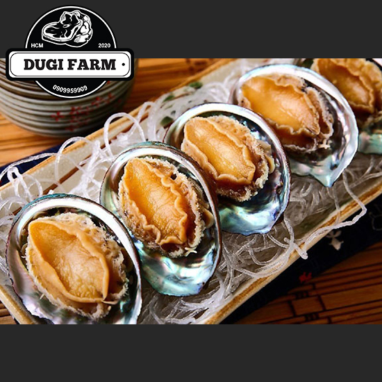 Bào ngư hàn quốc 500gr size 18-20 con/kg- korean abalone