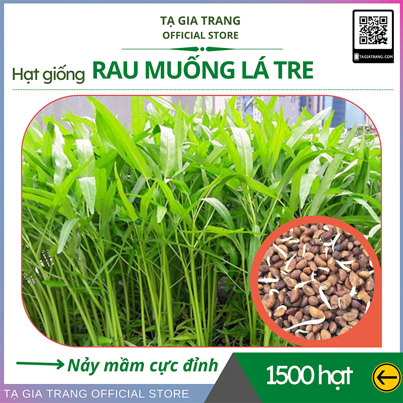 Hạt giống rau muống lá tre, rau muống lá nhỏ_Shop hạt giống Tạ Gia Trang